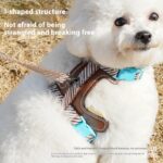 Dog Harness Anti Loose Adjustable Dog Leash - Image 2