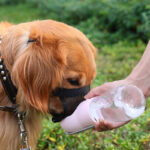 Anti-biting Licking And Eating Small And Large Dog Muzzle - Image 2