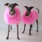 Pet Dog Plush Warm Solid Colour Jumper - Image 2