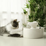 Smart Circulation Drinking Bowl Fountain Ceramic For Cats - Image 3
