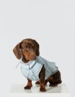 Dog Ultra-thin Vest Raincoat Water And Dirt Resistant Wind Shield - Image 2