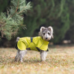 Pet Dog Small And Medium-sized Dogs Waterproof Universal Poncho - Image 8