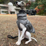Dog Clothes Thickened Thermal Vest Cotton Coat - Image 4