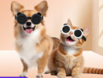 Dog Sun Sunshade Sunglasses Goggles Cat Headdress UV Protection Pet Supplies - Image 2