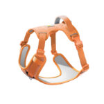 Dog Breast Strap Outing Vest Pet Hand Holding Rope - Image 5
