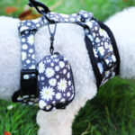 Pet Breathable Dog Harness Leash Set - Image 2