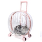 Portable Transparent Trolley Case Cat Bag - Image 9