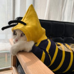 Winter Warm Clothes Cute Plush Coat Hoodies For Bulldog Pet Costume Jacket Bee Pet Puppy Coat - Image 5