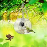 Pet Smart Feeder Outdoor Real-time Monitoring With HD Camera - Image 5
