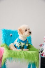 Dog Clothes Warm In Winter Teddy Bear Bomekoki Cat Two Legged Pet Sweater - Image 3