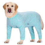 Dog Clothes Thin Four-legged Golden Retriever Labrador - Image 2