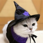 Pet Halloween Wizard Dressup Decoration Set - Image 6