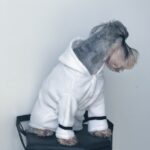 Pet clothes bathrobe robe pajamas - Image 3