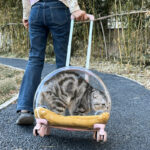 PC Pet Trolley Cat Bag Fully Transparent Reinforcement - Image 2