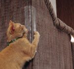 Cat Claw Protector Sofa Protect Pads - Image 2