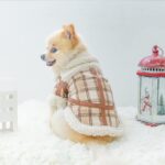 Pet Two Legged Clothes Autumn And Winter Plaid Warm Lamb Velvet - Image 5