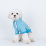 Macaron Hooded Pet Sweatshirt Casual - Image 4