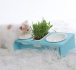 Cat Dish Rack - Image 3