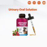 Glass Bottle With Straw Pet Vitamin Nutrient Solution - Image 5