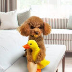 Dog Toys, Noisy, Plush, Duck, Self Congratulation, Relieving Boredom, Grinding Teeth, Biting Resistance, Energy Consumption - Image 3