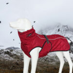 Medium and large dog clothes autumn and winter clothes - Image 3