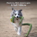 Pet Molar Long Lasting Sounding Dog Toy - Image 4