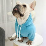 Pet with fleece hoodie - Image 4