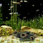 Fish tank landscaping decoration - Image 4