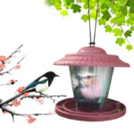 Plastic transparent bird feeder