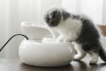 Pet Ceramic Automatic Cat Leaf Water Dispenser - Image 4