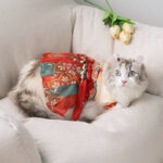 Cat Skirt Princess Style Pet Hanfu Anti Hair Loss - Image 6