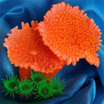 Simulation of coral plants - Image 3