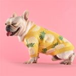 Pineapple sweater - Image 2