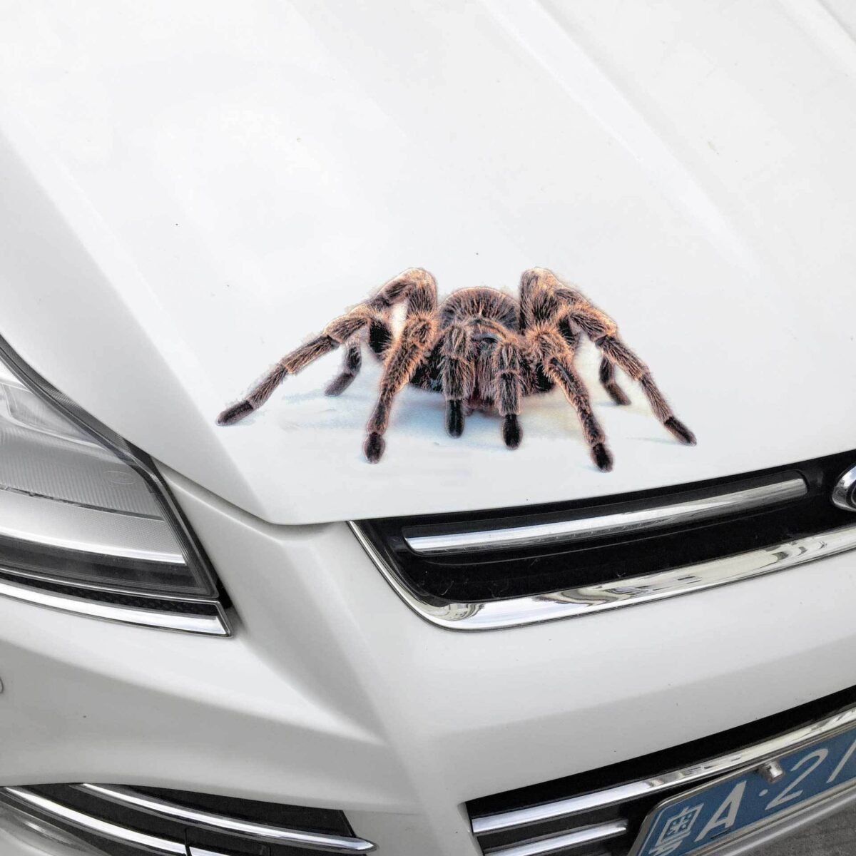 Car stickers creative personality scratches blocking body decals - Image 5