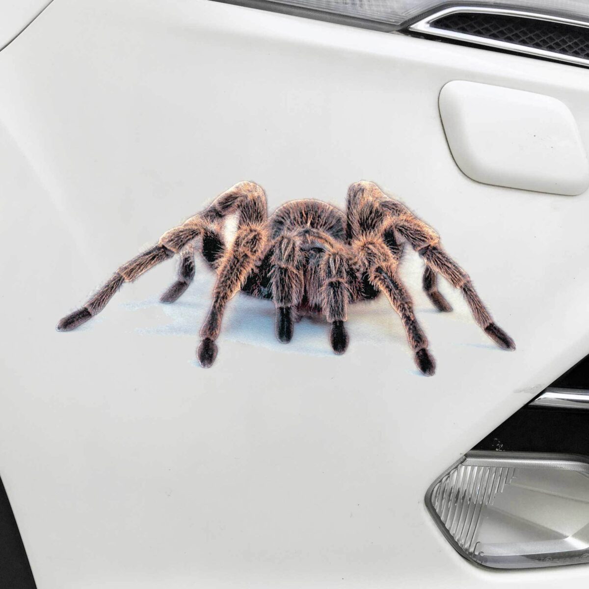 Car stickers creative personality scratches blocking body decals - Image 6
