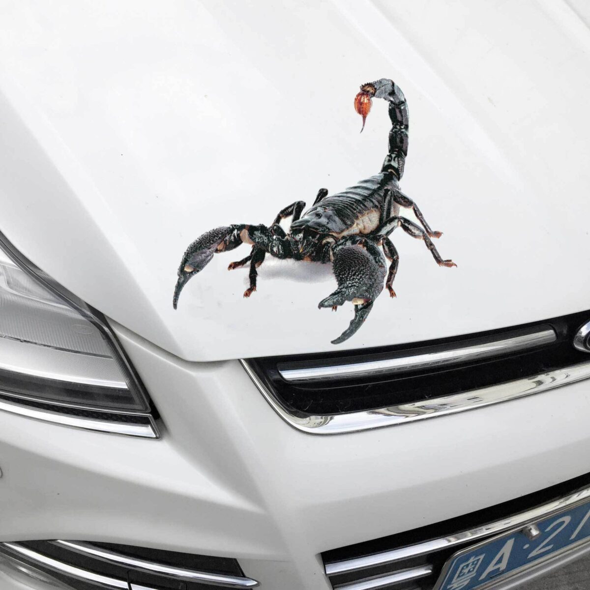 Car stickers creative personality scratches blocking body decals - Image 4