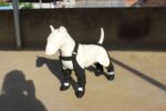 DOGGIE STRAP PAW PROTECTORS Out Dog Shoes Pet Shoes Waterproof Non-slip - Image 6