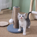 Sisal Scratching Pole Small Shelf - Image 2