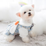 New skirt dress autumn and winter dog woolen small general cat pet clothes - Image 3