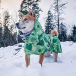 Autumn And Winter Quilted Snow Warm Dog Ski Suit - Image 2