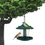 Plastic transparent bird feeder - Image 3