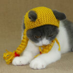 Cat scorpion cap - Image 3