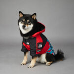 Windproof And Rainproof Dog Pet Shell Jacket - Image 4