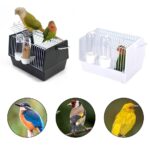 Out of the bird cage - Image 2
