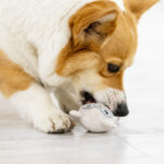 Milky Cute Barking Stick Series Sounding Plush Toy Dog Toy - Image 2