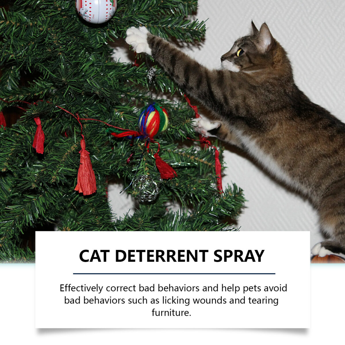 Pet Anti-chewing Spray Indoor Training Dogs And Cats Anti-biting Scratching Furniture - Image 3