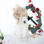 Wig Female Small Curls Long Curly Hair - Image 4
