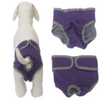 Fashion Simple Pet Velcro Menstrual Panties - Image 9