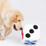 Color dice doll training to play and sniff pets - Image 3