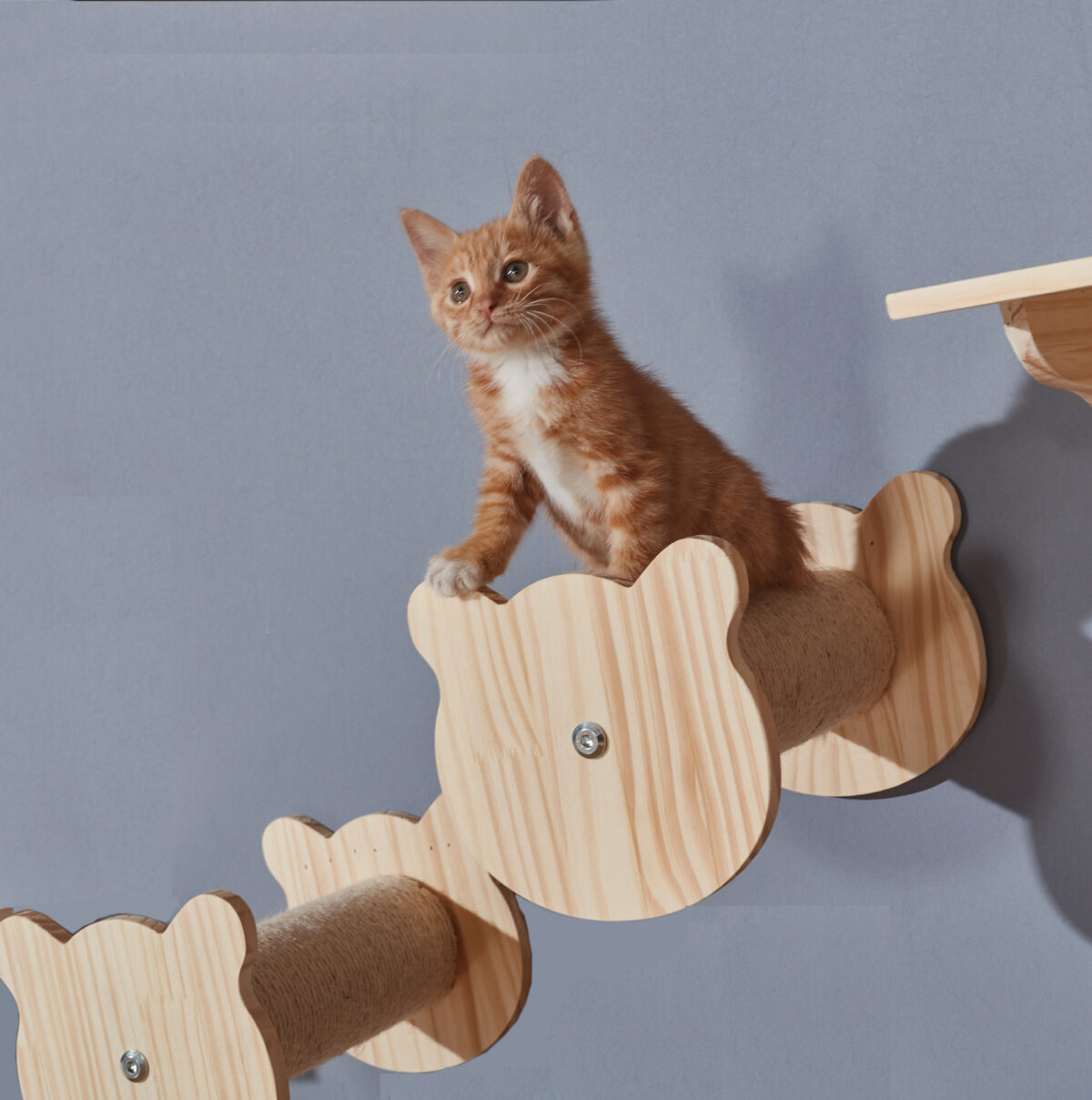 Solid Wood Wall Mounted Sisal Pole Cat Toy Platform Grabbing Board Grinding Grabbing - Image 5